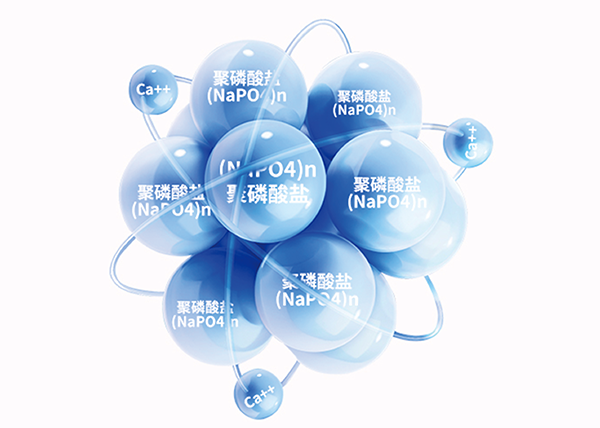 金狮贵宾会·宾至如归-尊贵显赫