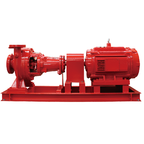 金狮贵宾会·宾至如归-尊贵显赫