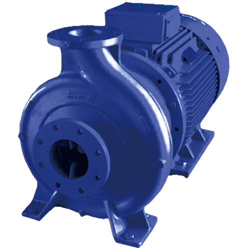 金狮贵宾会·宾至如归-尊贵显赫