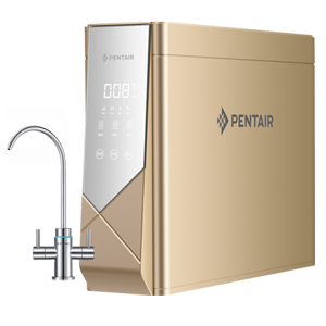 金狮贵宾会·宾至如归-尊贵显赫