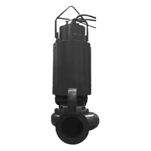 金狮贵宾会·宾至如归-尊贵显赫